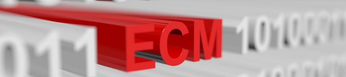 ecm as a binary code with blurred background 3D illustration