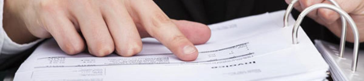 audit_web
